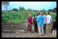 Feeding Malawi